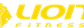 Logo Lion Fitness