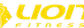 Logo Lion Fitness